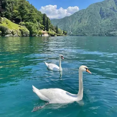 Da Luigi 2 * Acquaseria